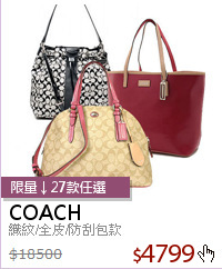 織紋/全皮/防刮包款