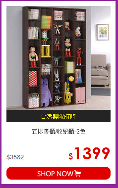 五排書櫃/收納櫃-2色