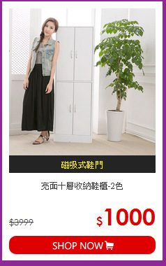 亮面十層收納鞋櫃-2色