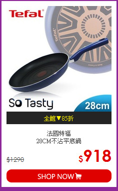 法國特福<BR>28CM不沾平底鍋