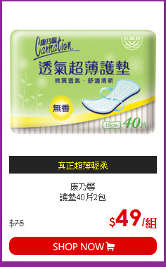 康乃馨<BR>護墊40片2包