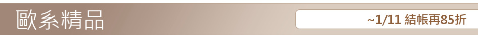 ~1/11 結帳再85折
