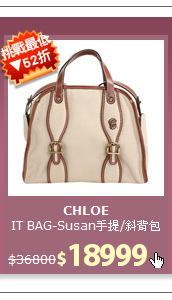 IT BAG-Susan手提/斜背包