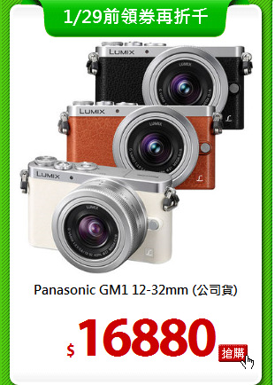 Panasonic GM1 12-32mm
(公司貨)