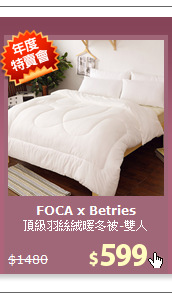 頂級羽絲絨暖冬被-雙人