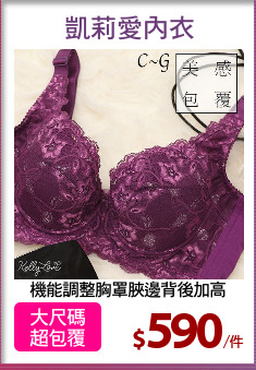 機能調整胸罩脥邊背後加高