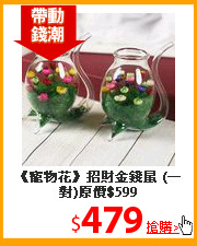 《寵物花》招財金錢鼠
(一對)原價$599