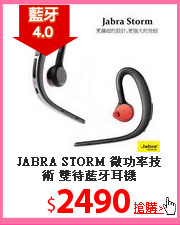 JABRA STORM 微功率技術
 雙待藍牙耳機