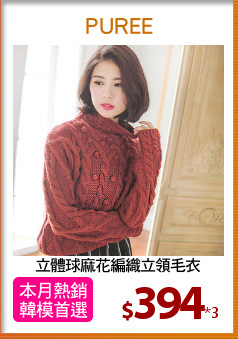 立體球麻花編織立領毛衣