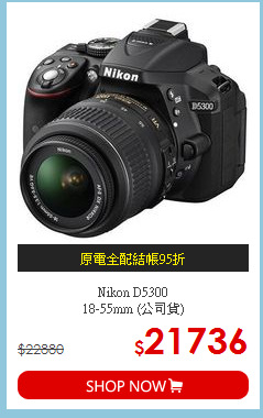 Nikon D5300<BR>
18-55mm (公司貨)