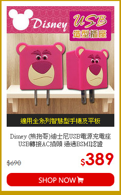 Disney (熊抱哥)迪士尼USB電源充電座<br>
USB轉接AC插頭 通過BSMI認證