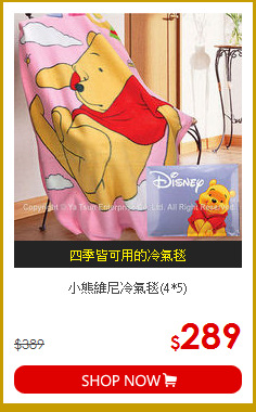 小熊維尼冷氣毯(4*5)