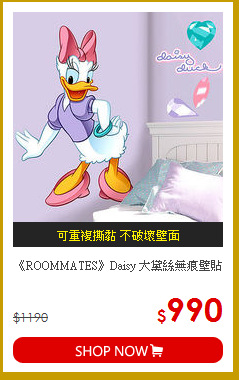 《ROOMMATES》Daisy 大黛絲無痕壁貼