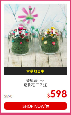 療癒系小品<br>寵物花-二入組