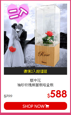 瓶中花<br>
袖珍玫瑰無菌栽培盆栽