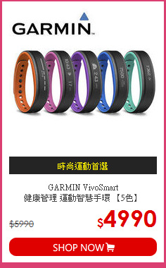 GARMIN VivoSmart <br>健康管理 運動智慧手環 【5色】