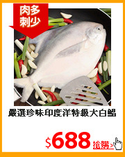 嚴選珍味印度洋
特級大白鯧