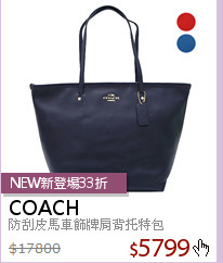 防刮皮馬車飾牌肩背托特包