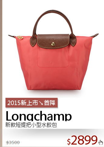 新款短提把小型水餃包