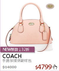 手提/斜背保齡球包