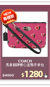 馬車飾牌愛心塗鴉手拿包