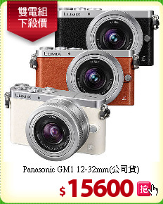 Panasonic GM1
12-32mm(公司貨)