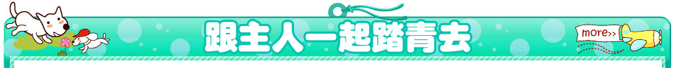 跟主人一起踏青去