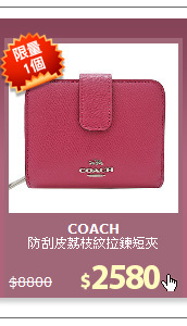 防刮皮荔枝紋拉鍊短夾