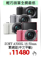SONY A5000L 16-50mm<BR>
單鏡組(中文平輸)
