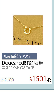 幸運雙邊馬蹄鐵項鍊