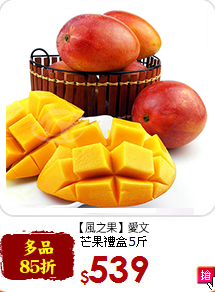 【果之家】枋山愛文<br>芒果禮盒5斤
