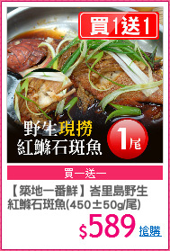 【築地一番鮮】峇里島野生
紅鰷石斑魚(450±50g/尾)