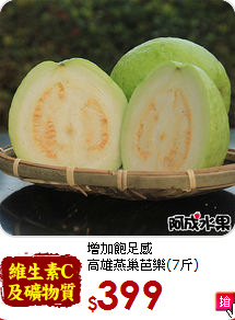 增加飽足感<br>高雄燕巢芭樂(7斤)