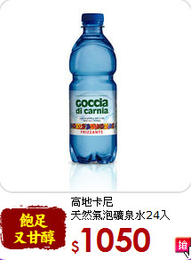 高地卡尼<br>天然氣泡礦泉水24入