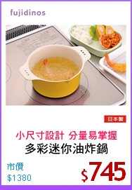 多彩迷你油炸鍋