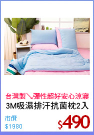 3M吸濕排汗抗菌枕2入