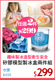 矽膠模型製冰盒兩件組