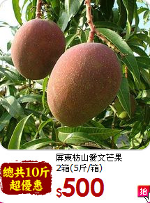 屏東枋山愛文芒果<br>2箱(5斤/箱)