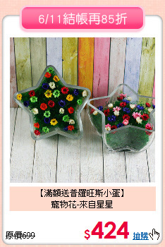 【滿額送普羅旺斯小蛋】<BR>
寵物花-來自星星