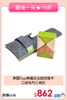美國Tegu無毒安全磁性積木<br>口袋系列三角款