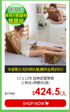 1/3 A LIFE 經典舒壓雙寶<BR>
三角枕+美腿枕(綠)
