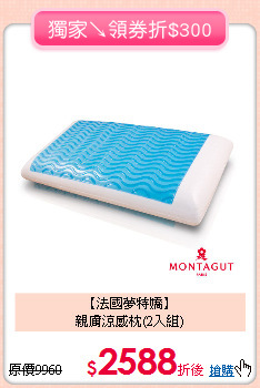【法國夢特嬌】<BR>
親膚涼感枕(2入組)