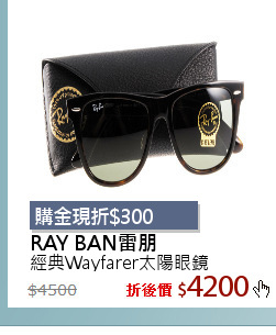 經典Wayfarer太陽眼鏡