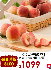 【拉拉山X光華部落】<br>水蜜桃5粒7兩-12兩