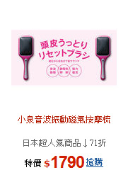 小泉音波振動磁氣按摩梳