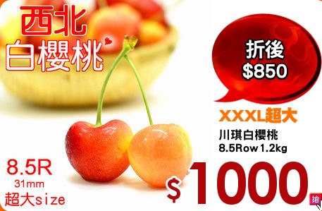 川琪白櫻桃
8.5Row1.2kg