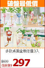 多款桌面盆栽任選3入