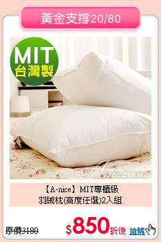 【A-nice】MIT專櫃級<BR>
羽絨枕(高度任選)2入組