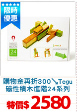 購物金再折300↘Tegu
磁性積木進階24系列