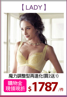 魔力調整型再進化(買2送1)